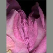 Gratis svensk porno nakenbilder av norske jenter Girls licking girls videos